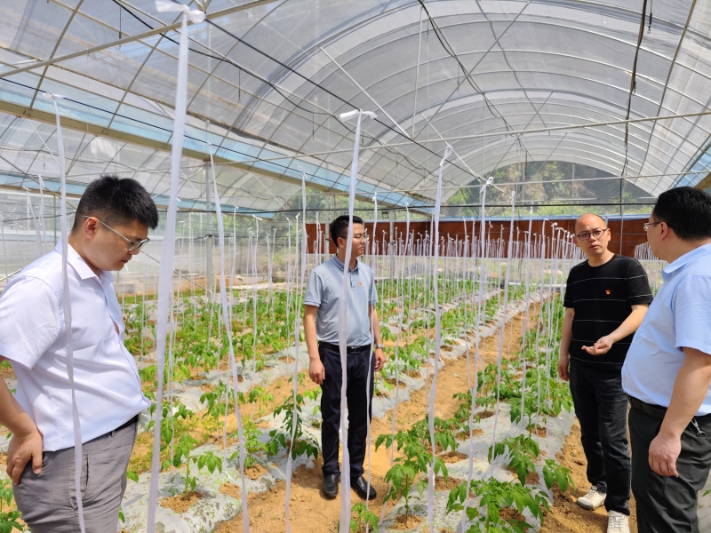 msnP_1684722287842054977.jpg msnP_1684722287842054977.jpg