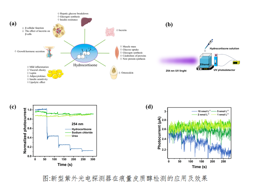 dYUs_1748696354065064510.png dYUs_1748696354065064510.png