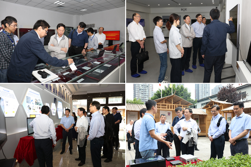 1528105795880052958.jpg 20180601xtzxps2.jpg